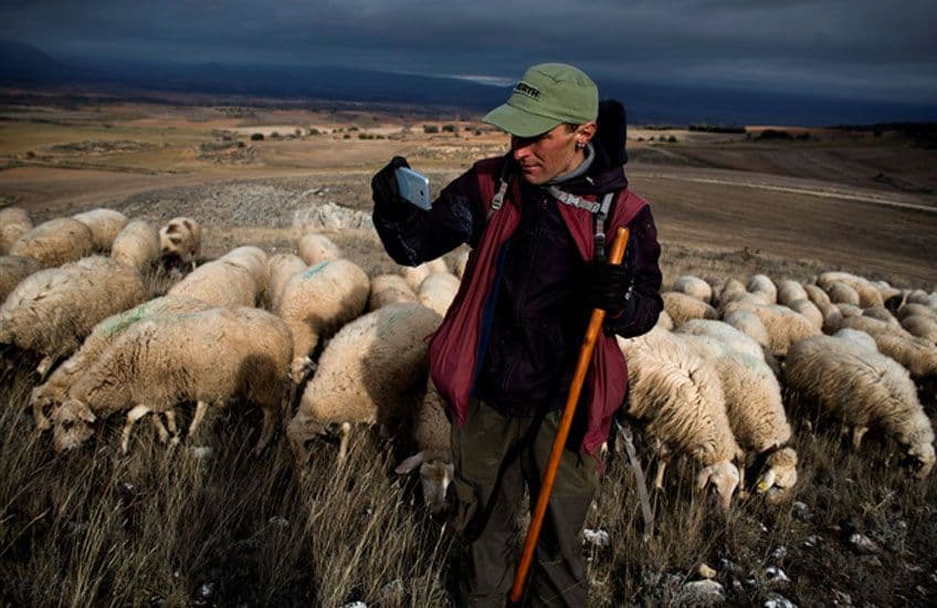 muestra alma tierra 2.jpg