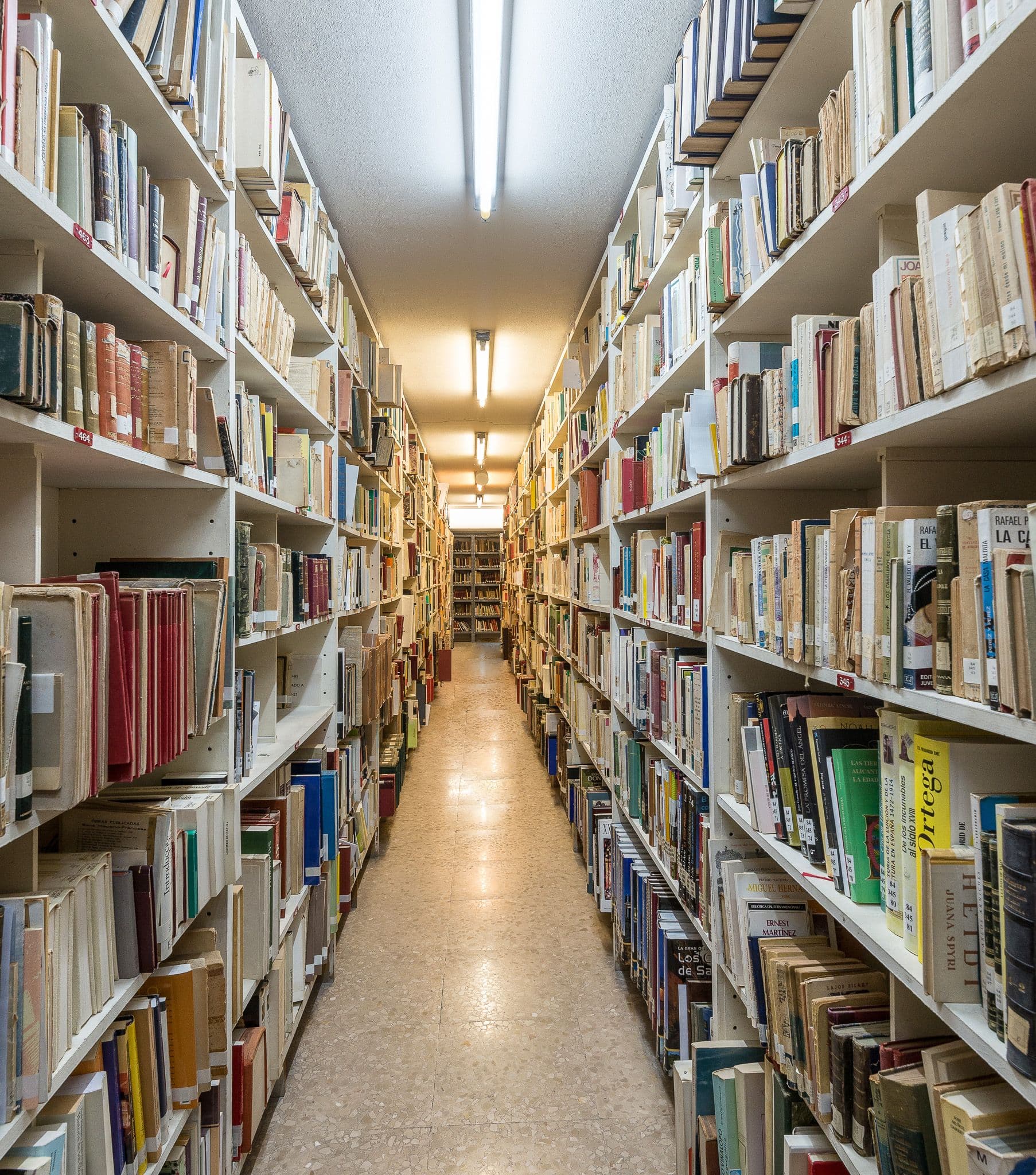 Archivo y biblioteca