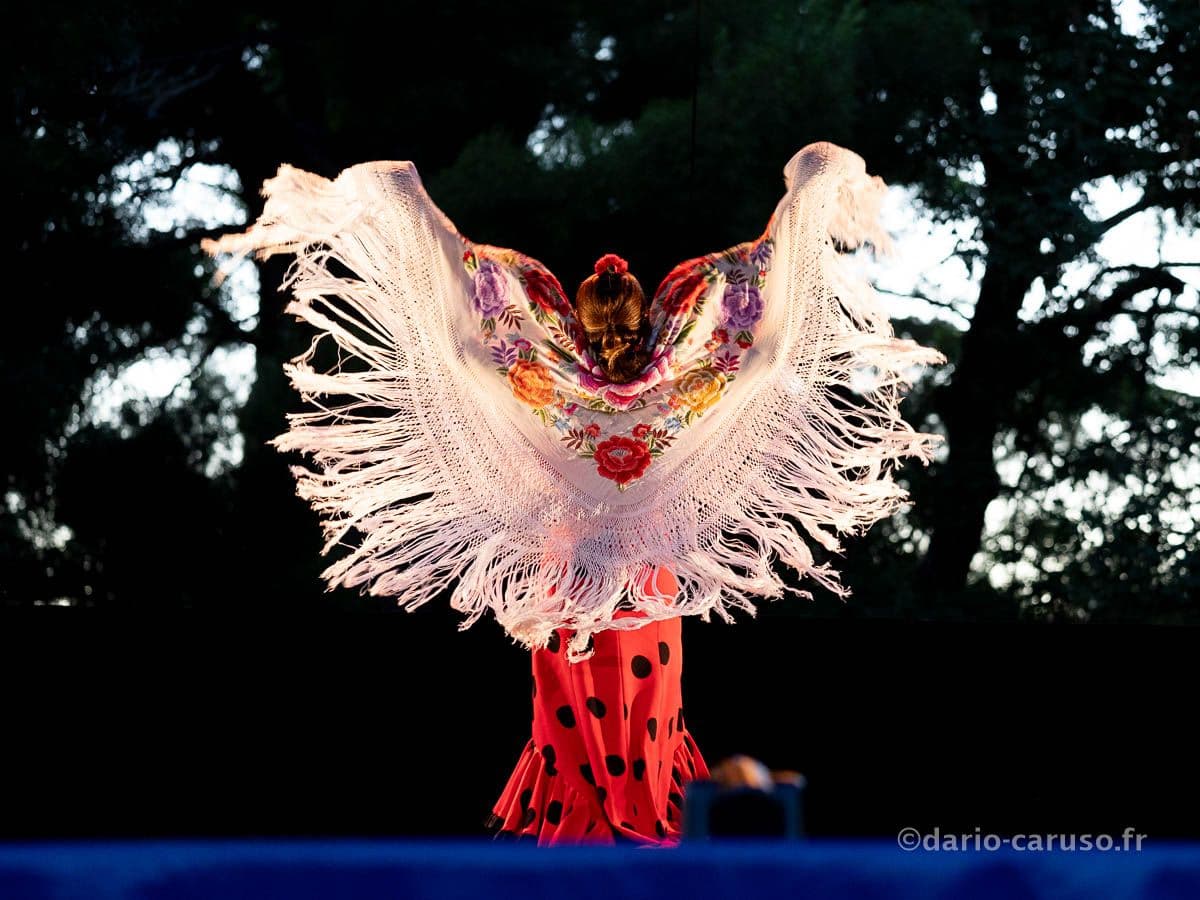 Mujeres en danza