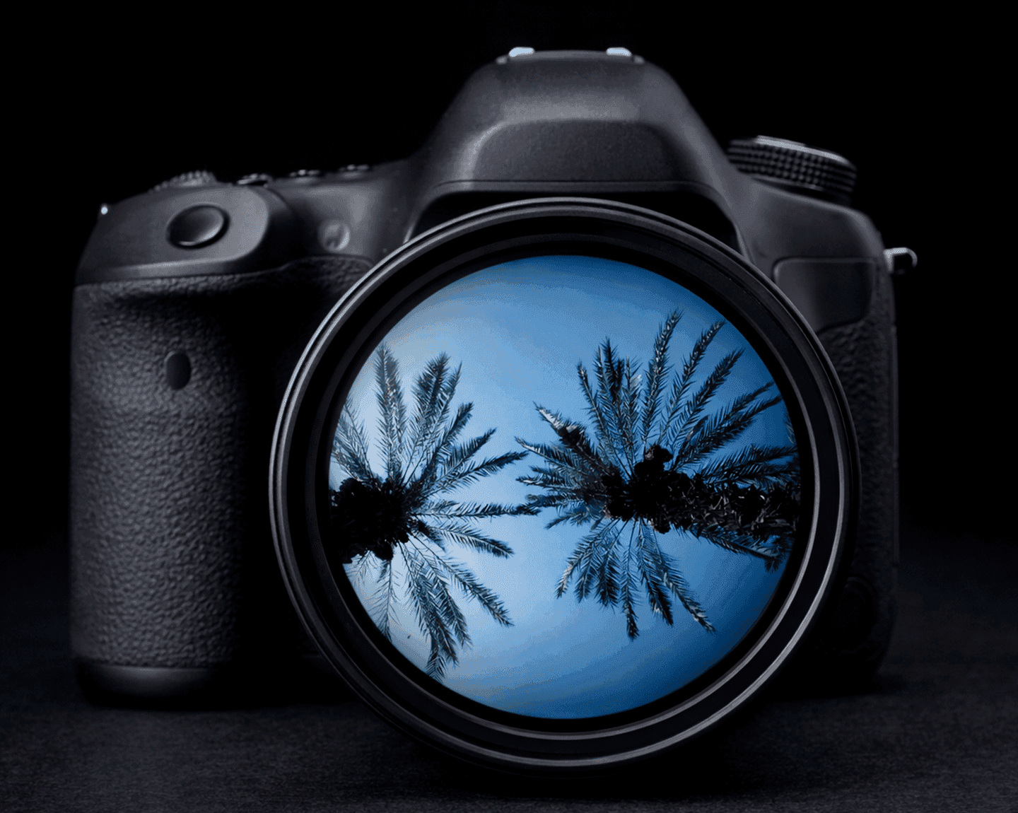 Descubriendo el Hort del Xocolater a través de la fotografía