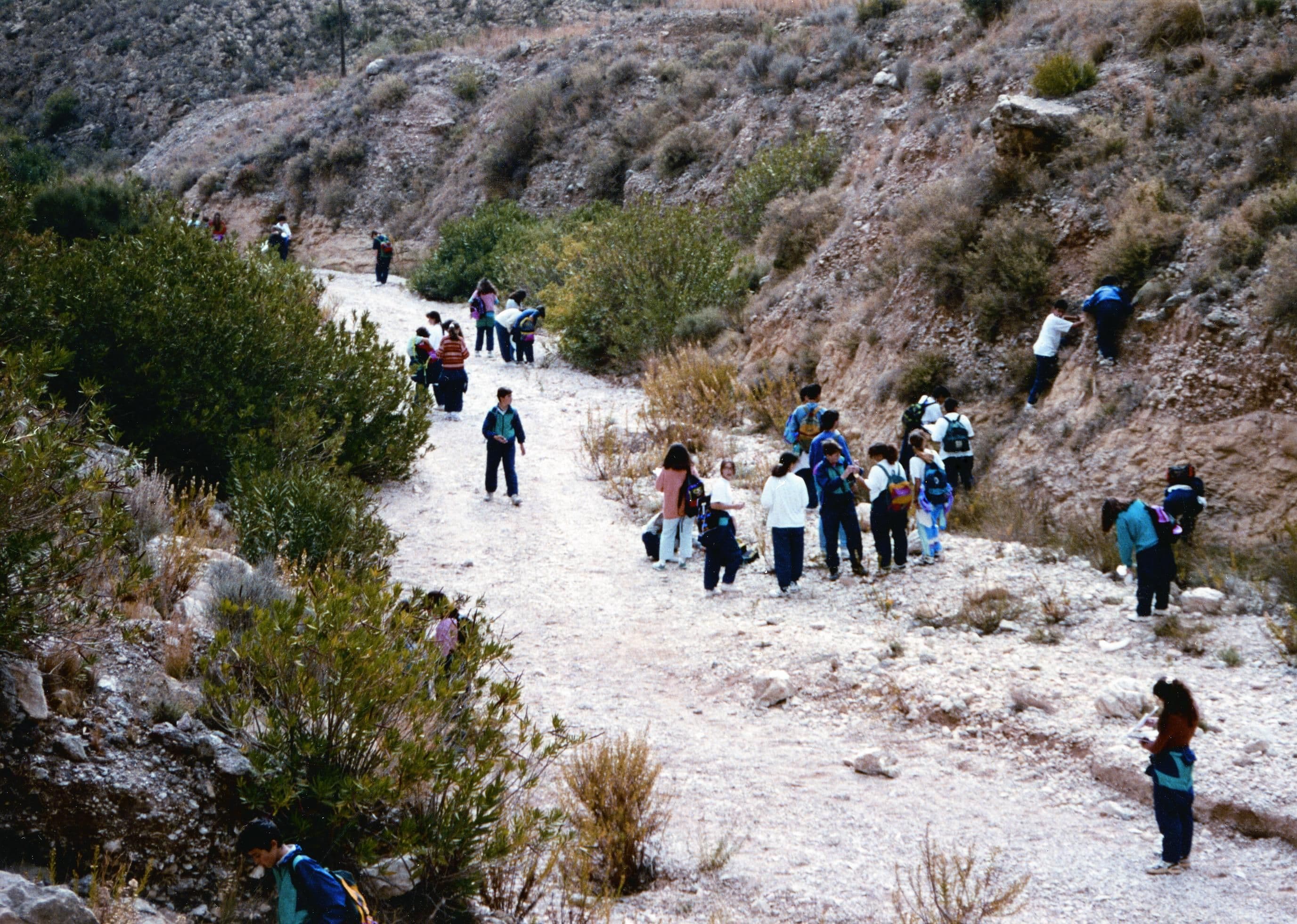 Los Molinos de Crevillent Fundación Mediterráneo