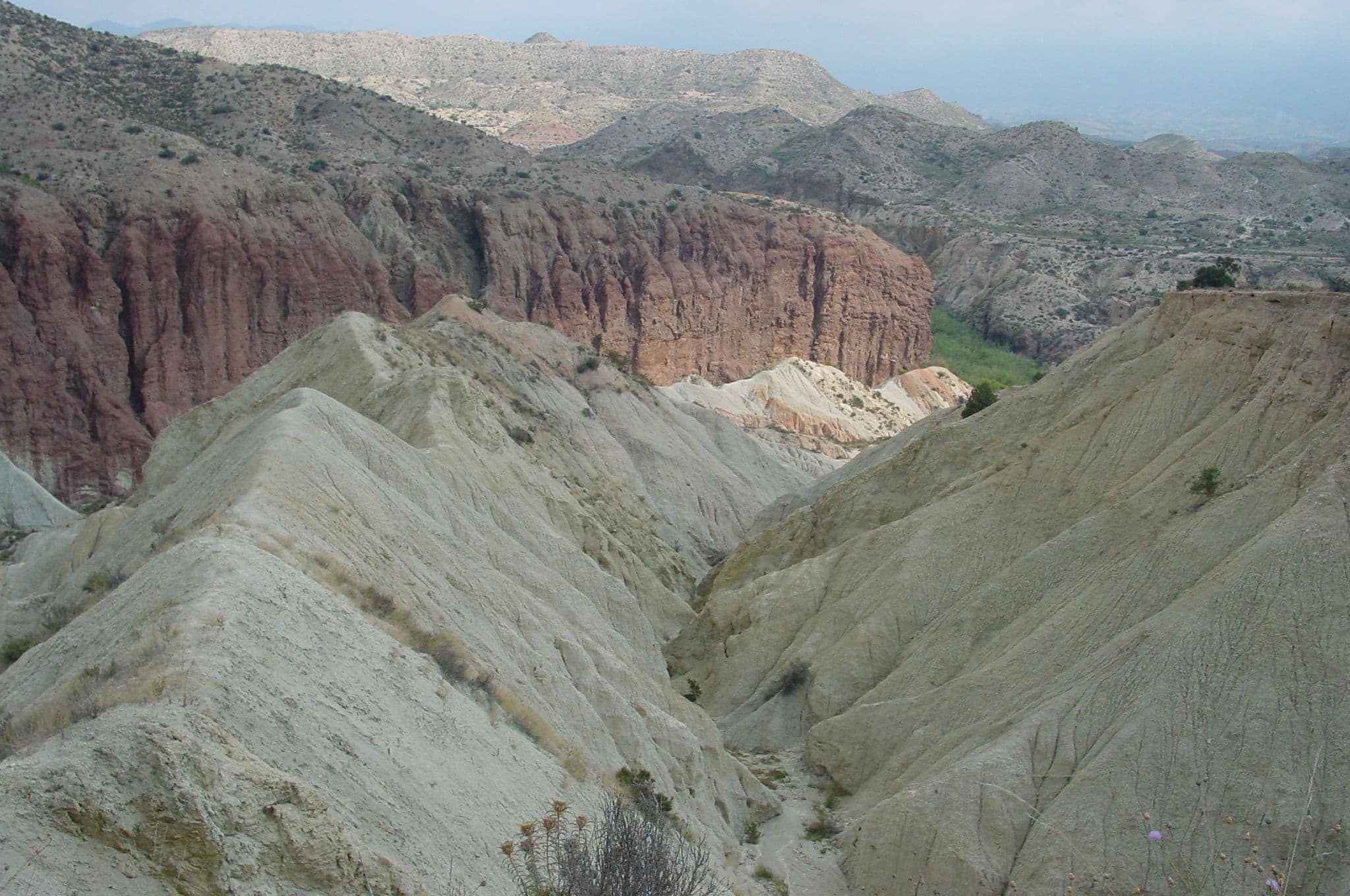 Itinerarios geológicos Fundación Mediterráneo los Molinos 11.jpg