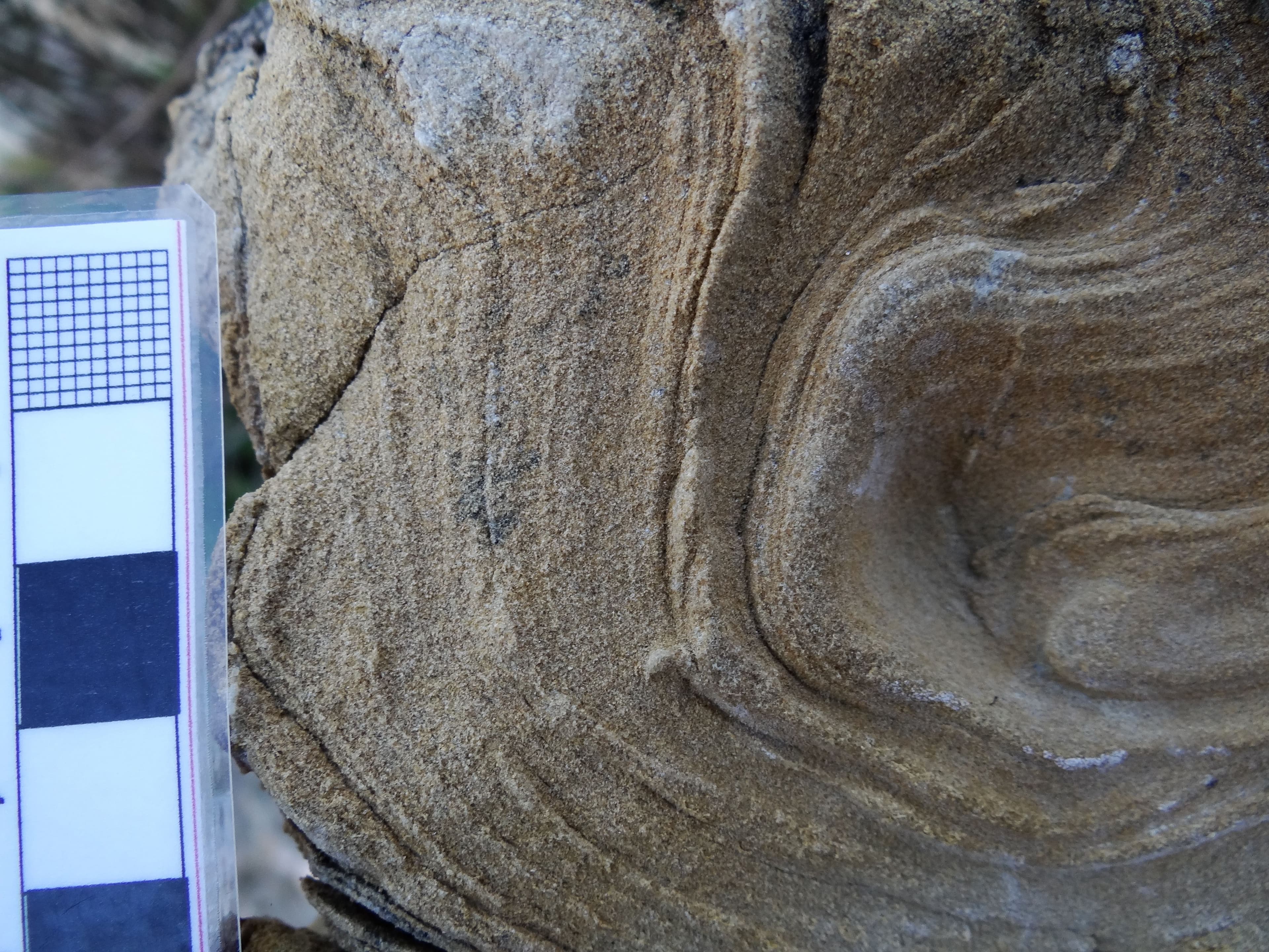 Itinerarios geológicos Fundación Mediterráneo los Molinos 8.jpg