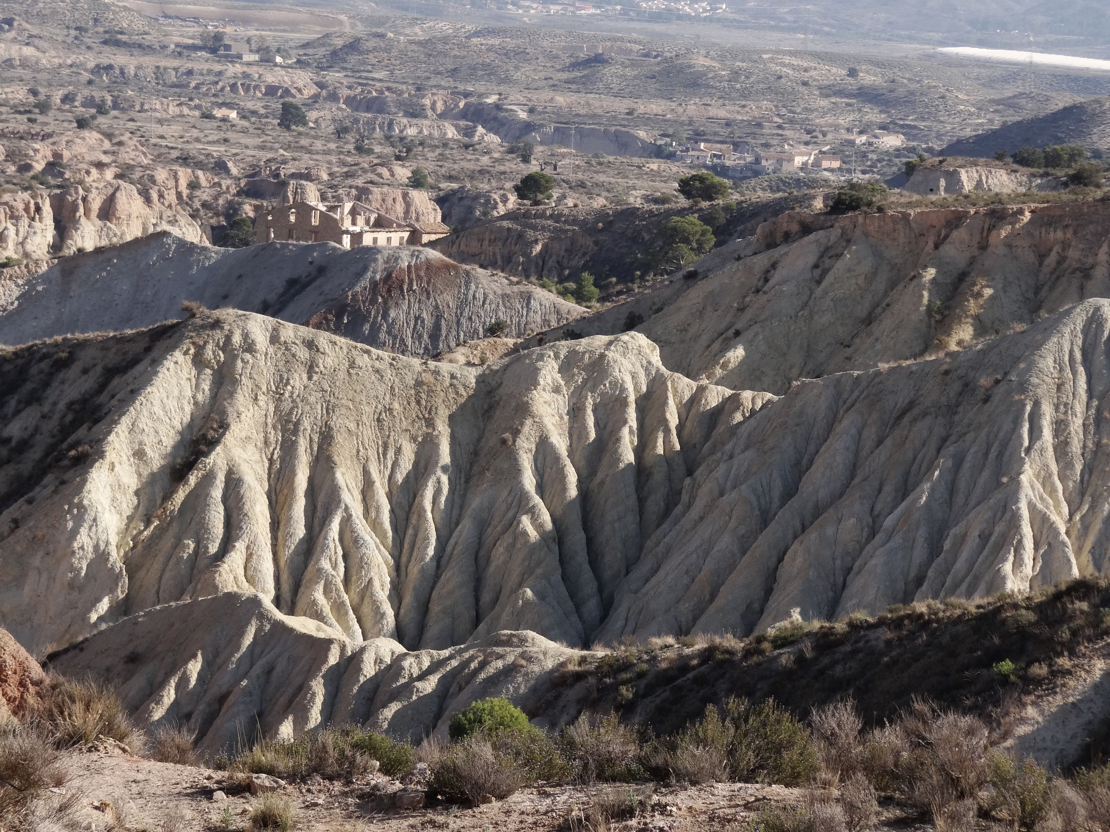 Itinerarios geológicos Fundación Mediterráneo los Molinos 10.jpg