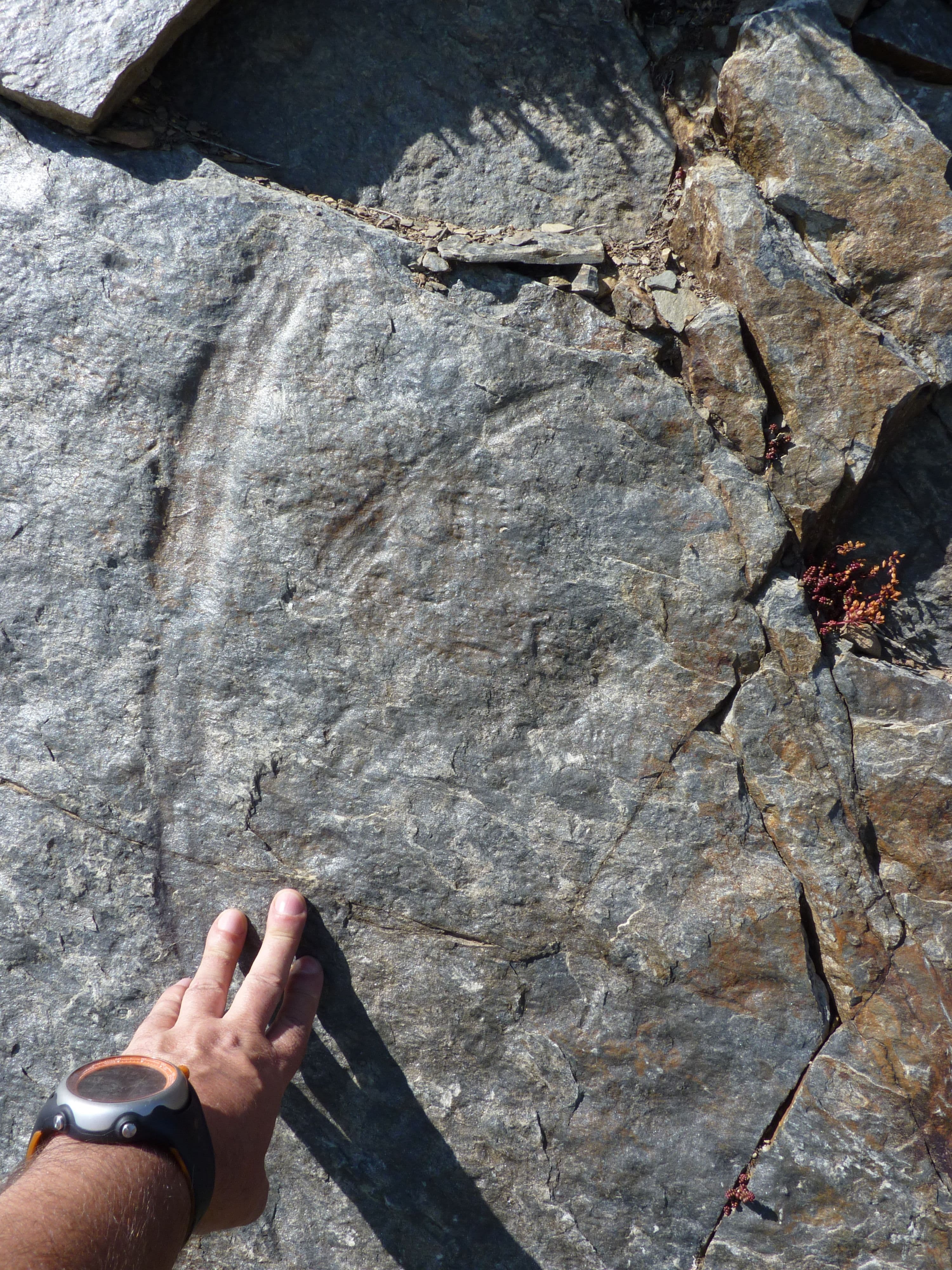 Itinerarios geológicos Fundación Mediterráneo los Molinos 13.jpg