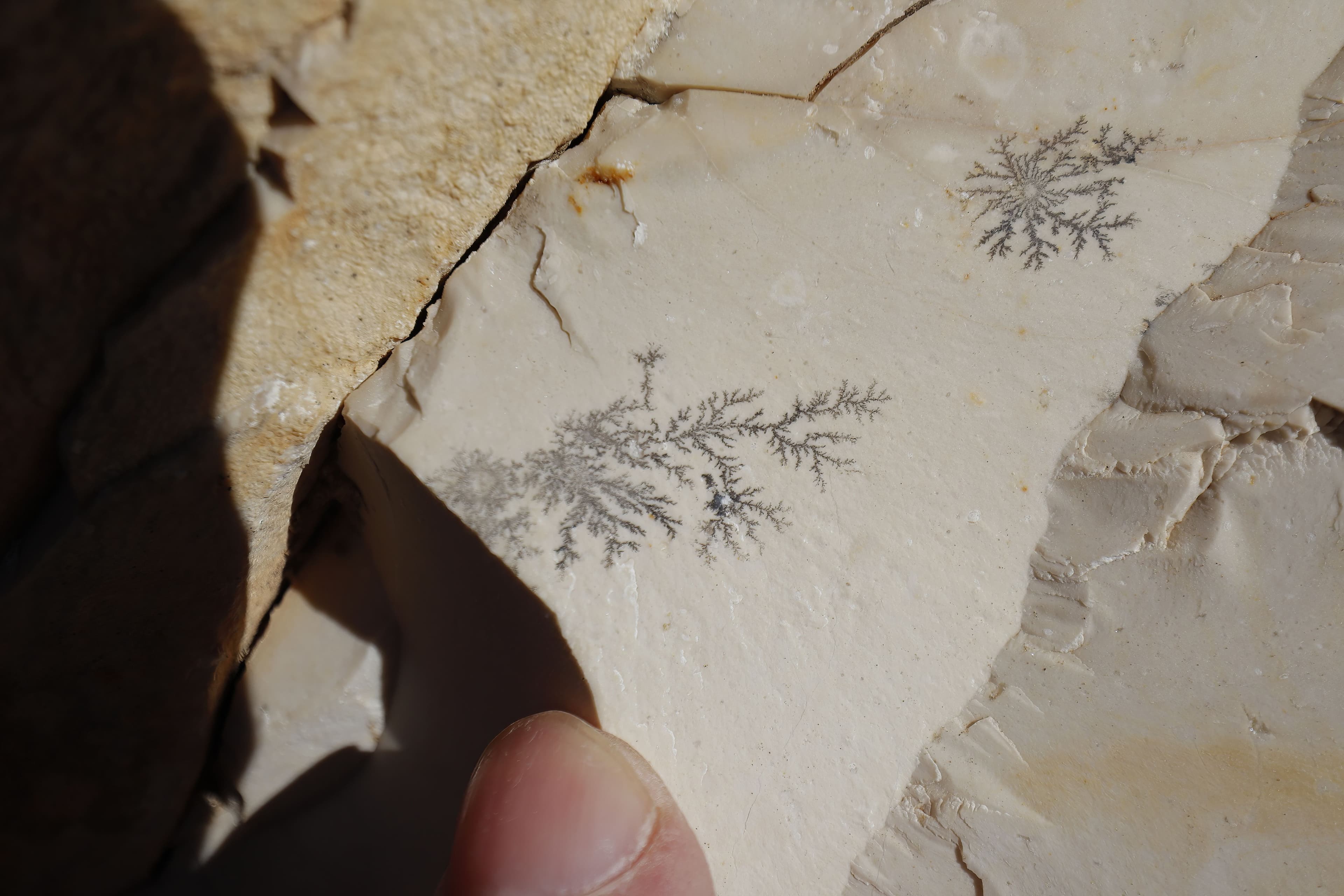 Itinerarios geológicos Fundación Mediterráneo los Molinos 1.jpg