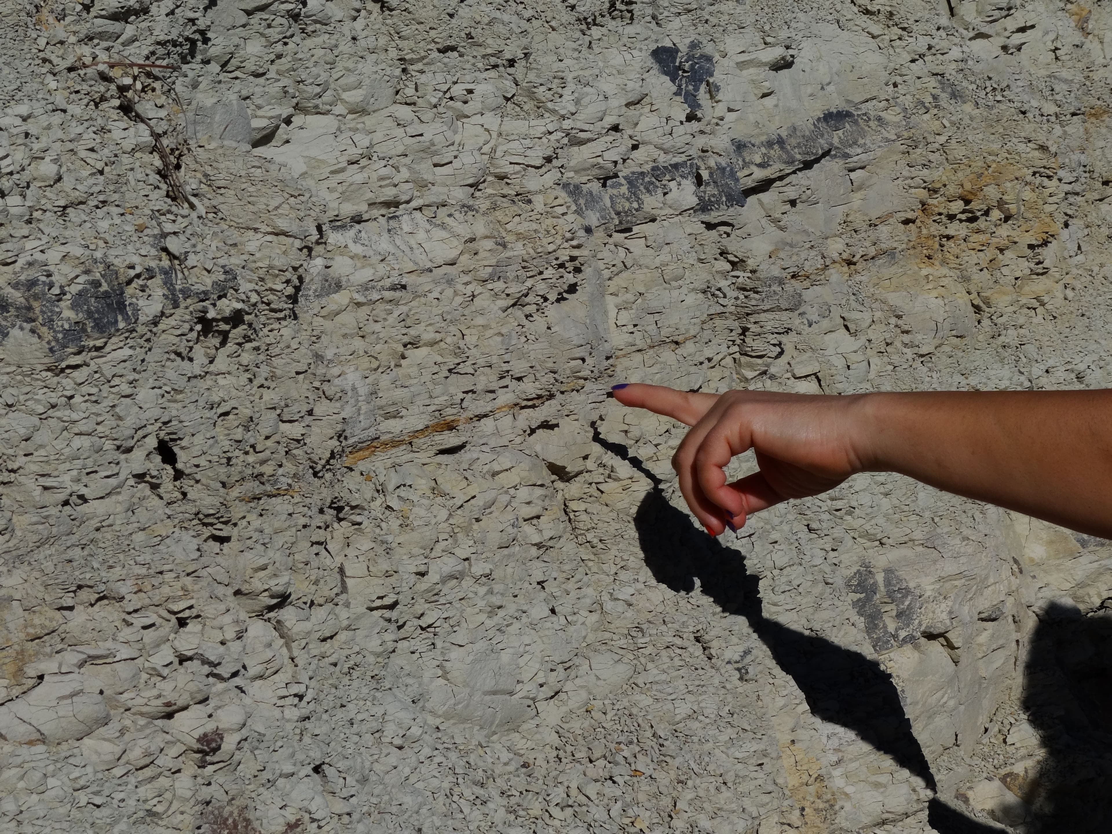 Itinerarios geológicos Fundación Mediterráneo los Molinos 4.JPG