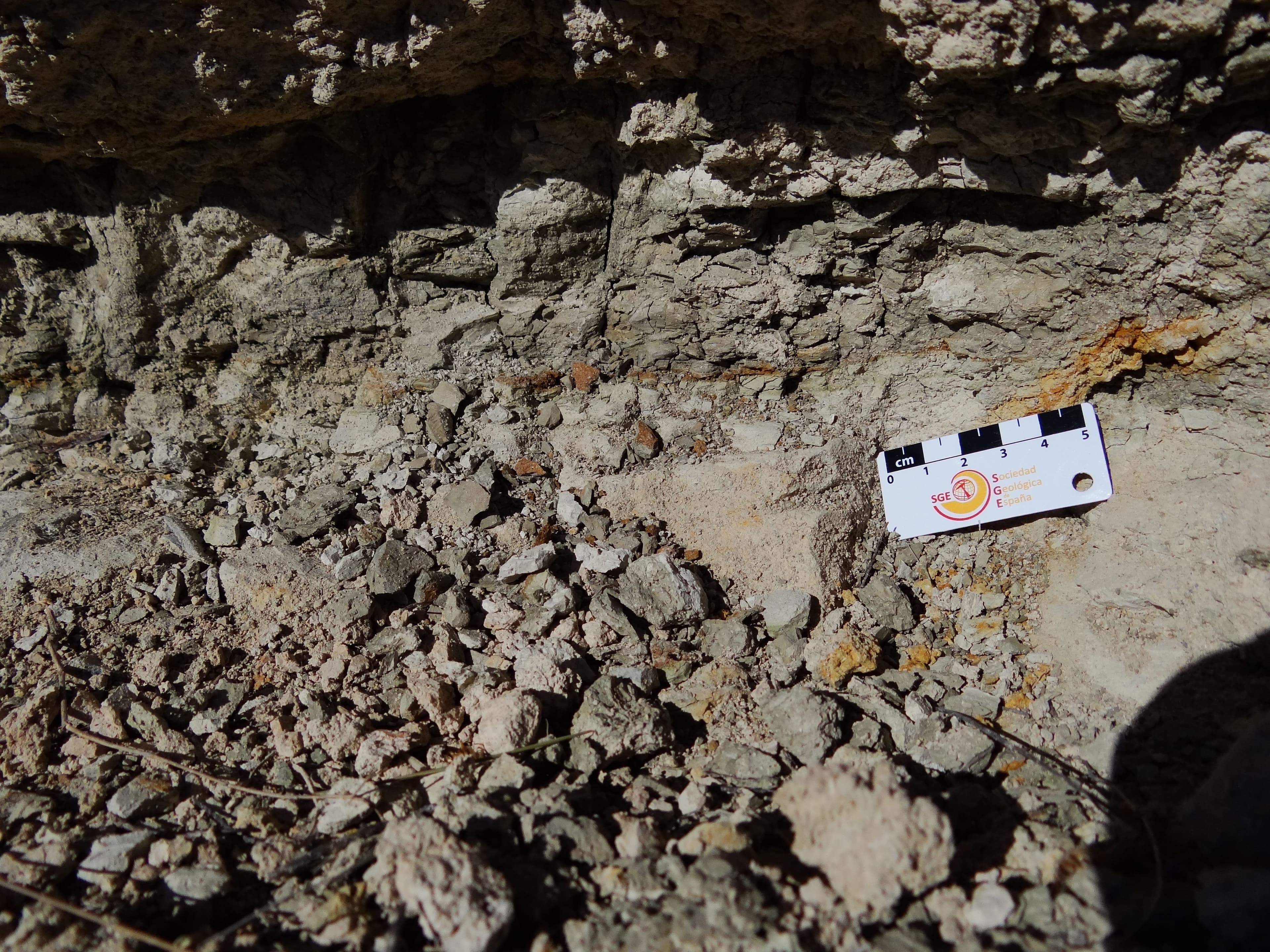 Itinerarios geológicos Fundación Mediterráneo los Molinos 5.jpg