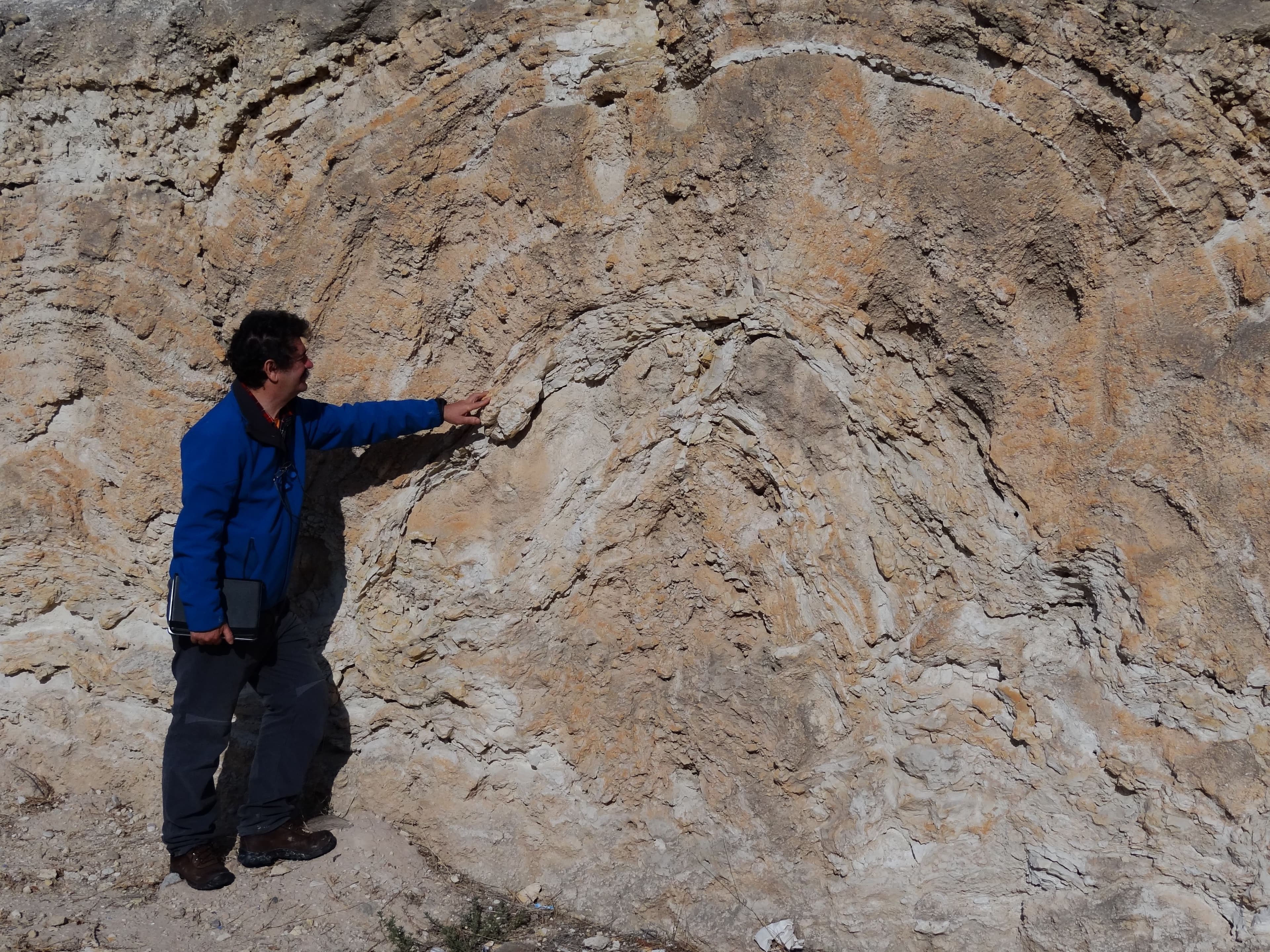 Itinerarios geológicos Fundación Mediterráneo los Molinos 6.jpg