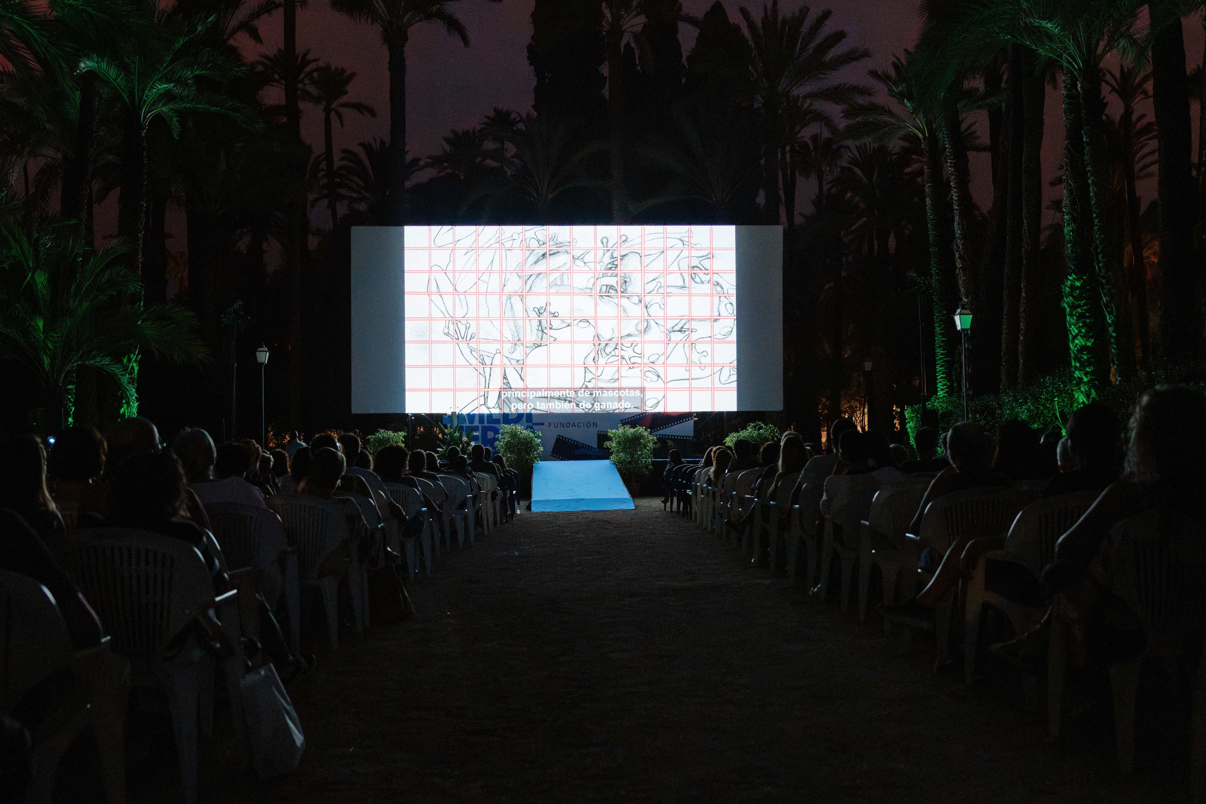 Festival de Cine de Elche 2024