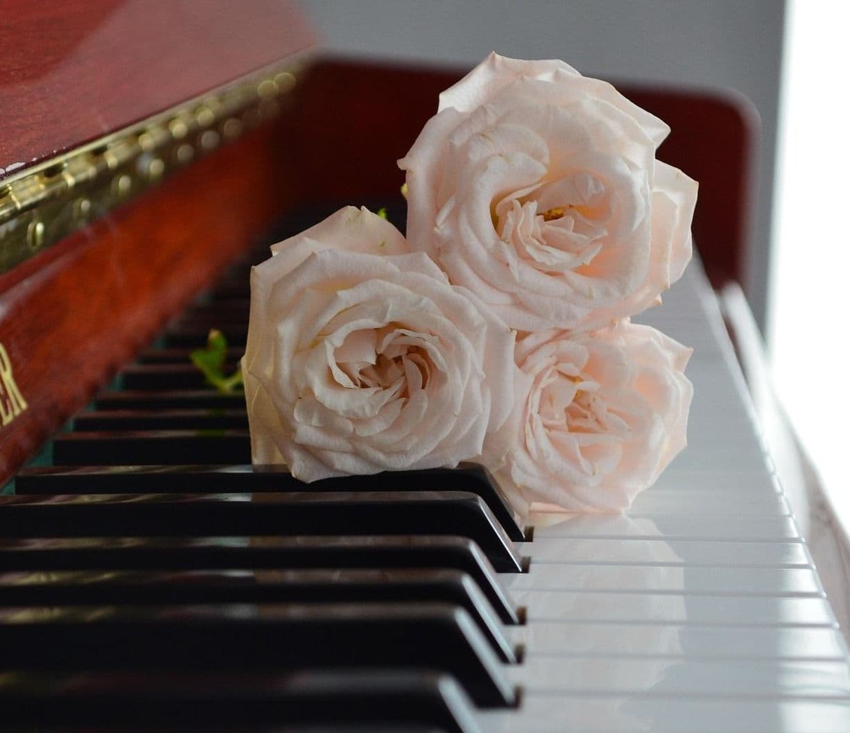 Concierto de piano. Los colores de la primavera. Jóvenes intérpretes.