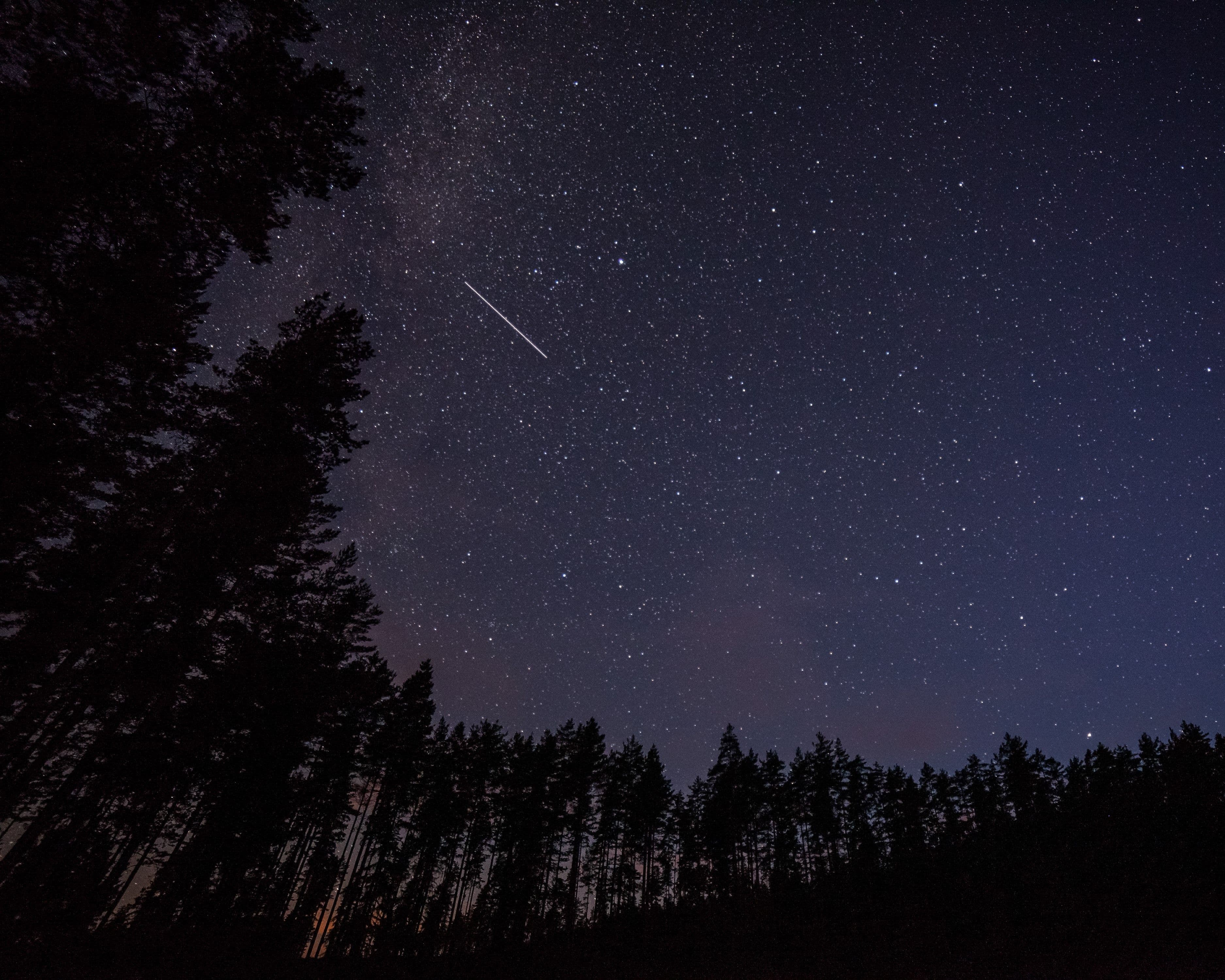 Noche de estrellas 28/03