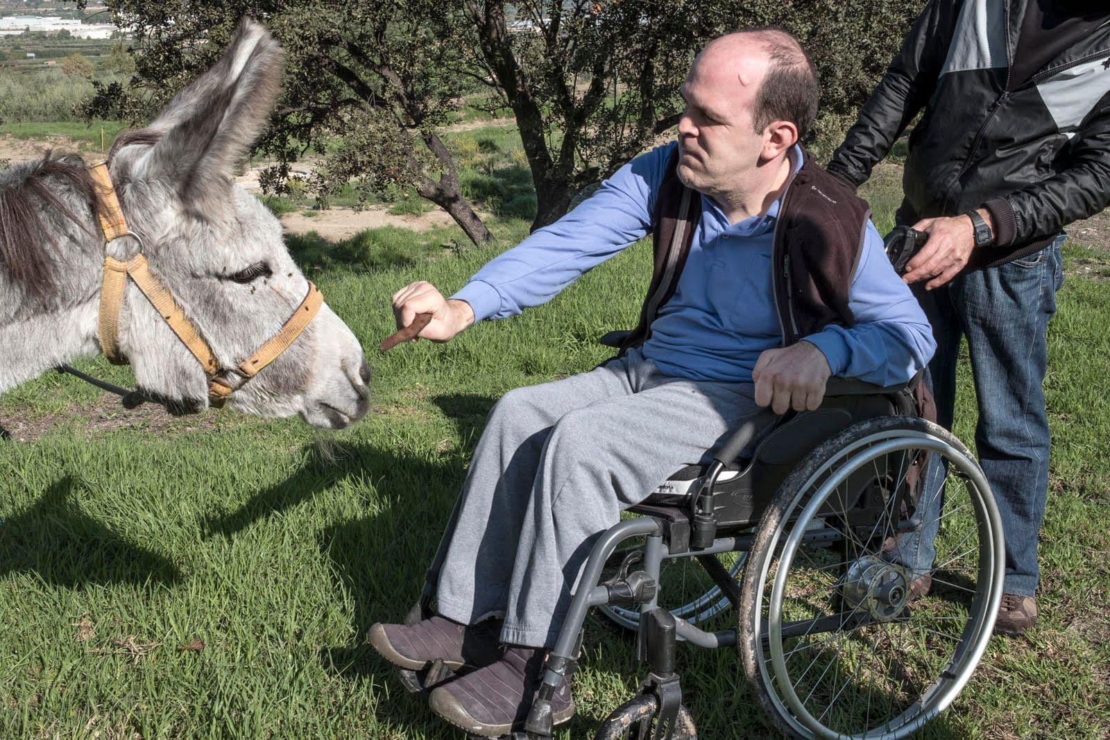 La sort de trobar un trèvol