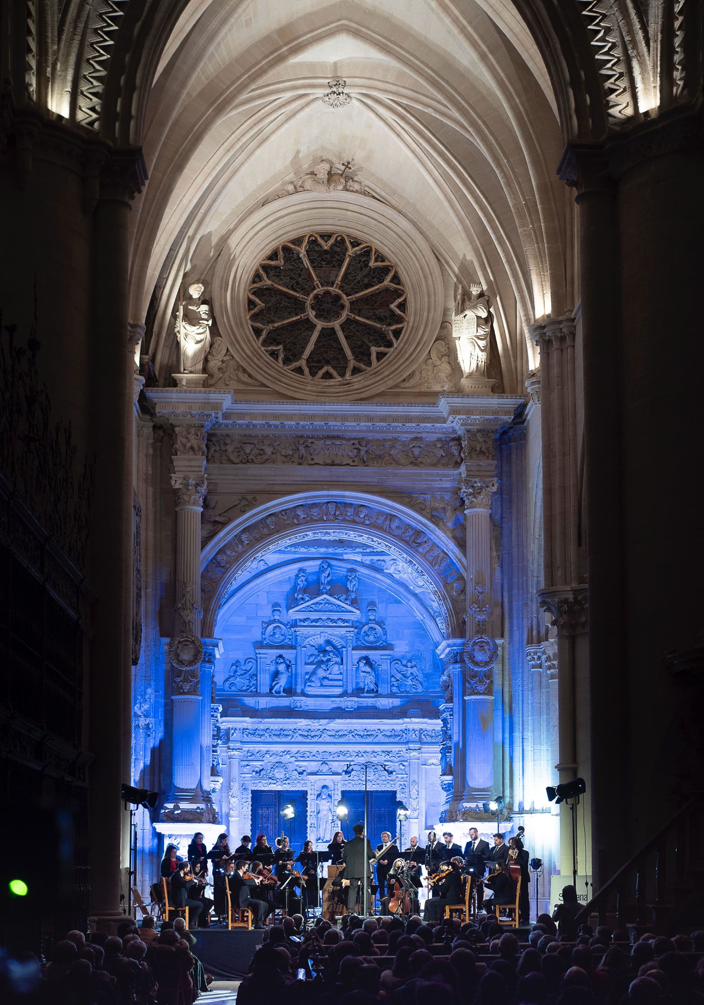 Nereydas 02. © santiago torralba.jpg