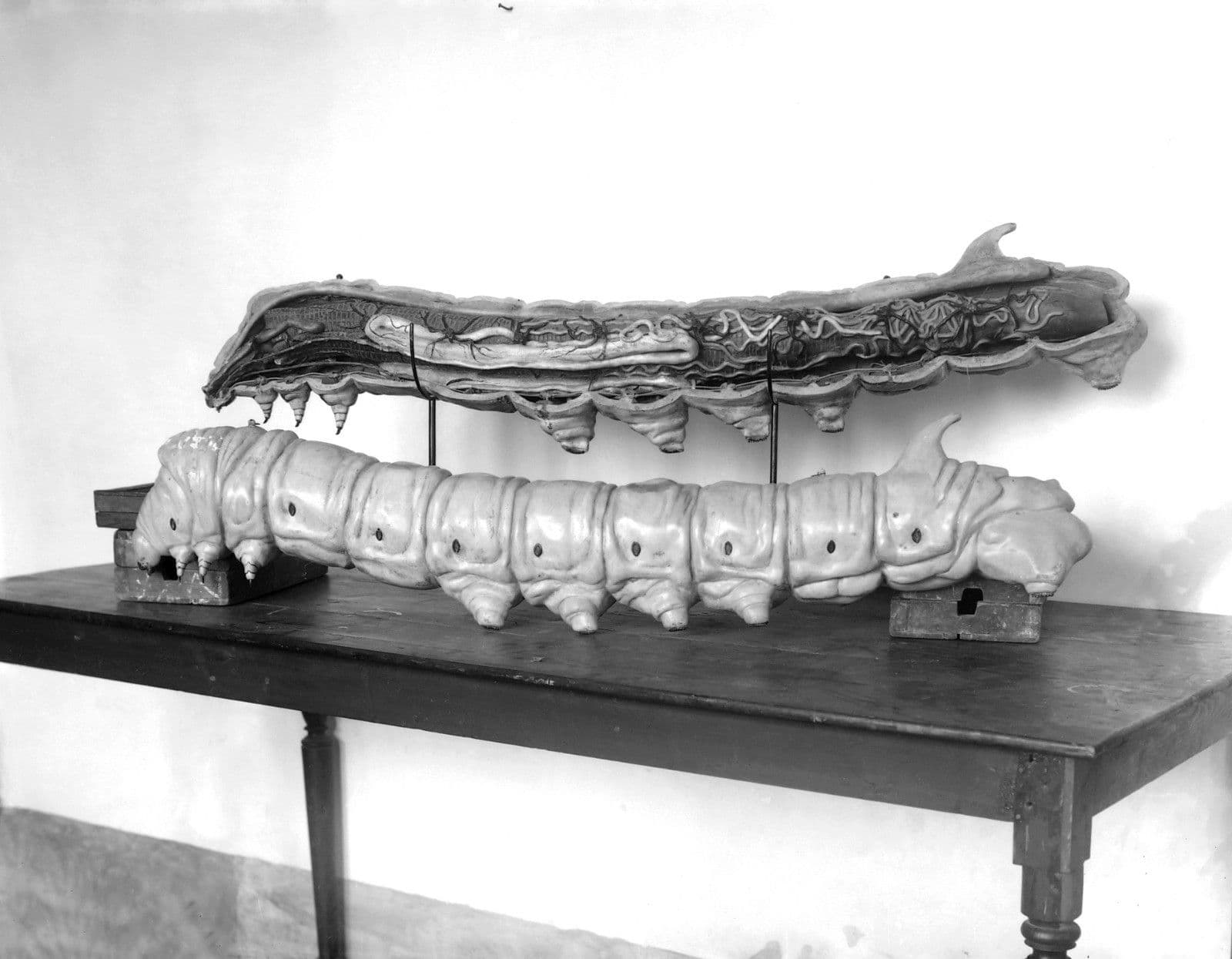 La seda en Murcia. Herencia patrimonial de la Estación sericícola