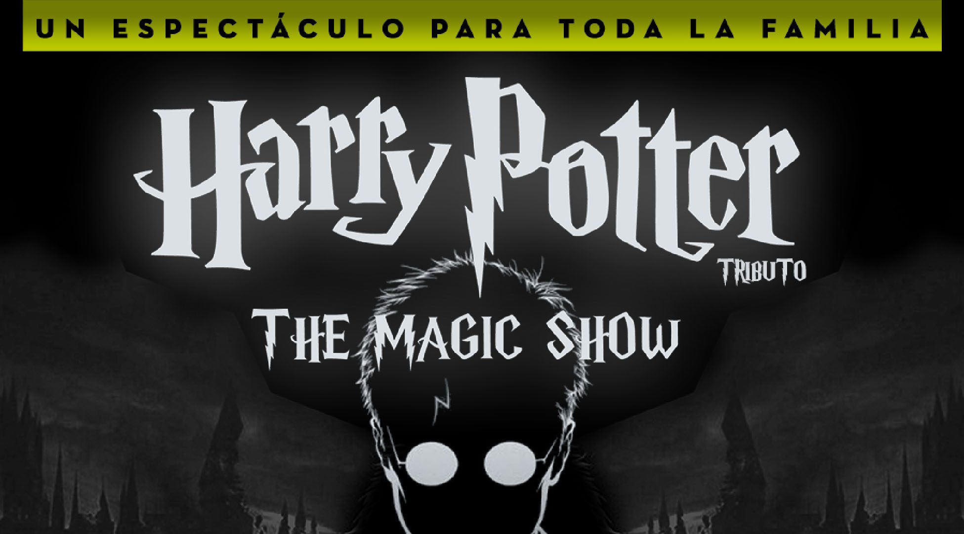 Cartel de Harry Potter en abril (fundación Mediterráneo Alicante)