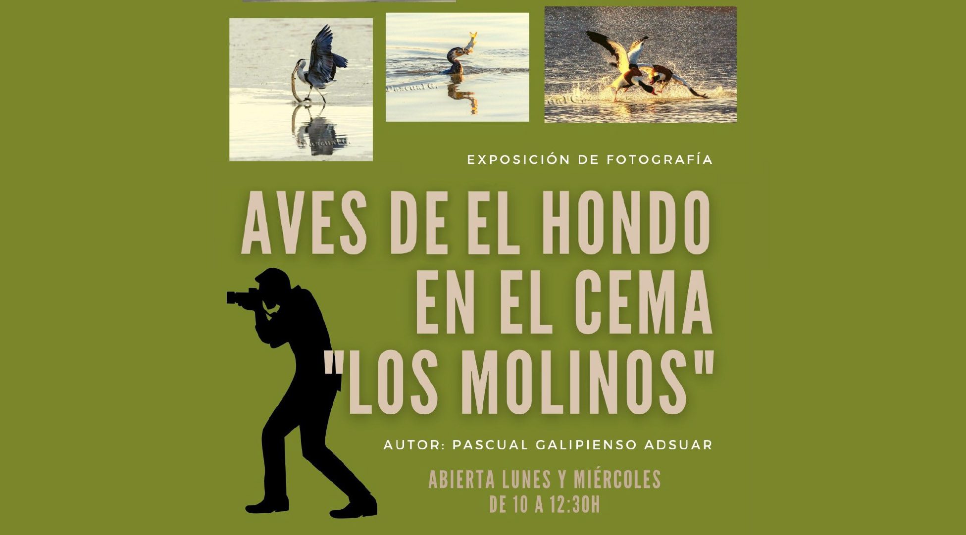 Cartel de la Exposición aves de "El Hondo"